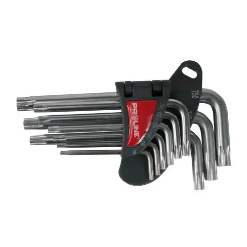 Pas transportowy z dużym napinaczem ERGO niebieski 5T 12m komplet - 429